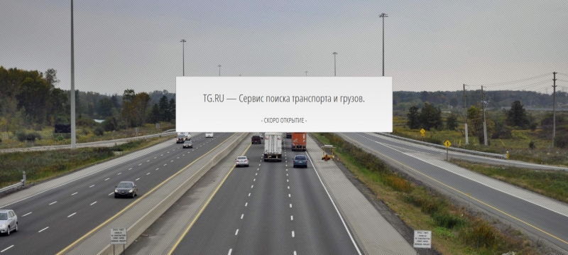 Скриншот сайта «tg.ru» от 31.03.2015 года