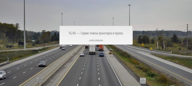Скриншот сайта «tg.ru» от 31.03.2015 года Скриншот сайта «tg.ru» от 31.03.2015 года